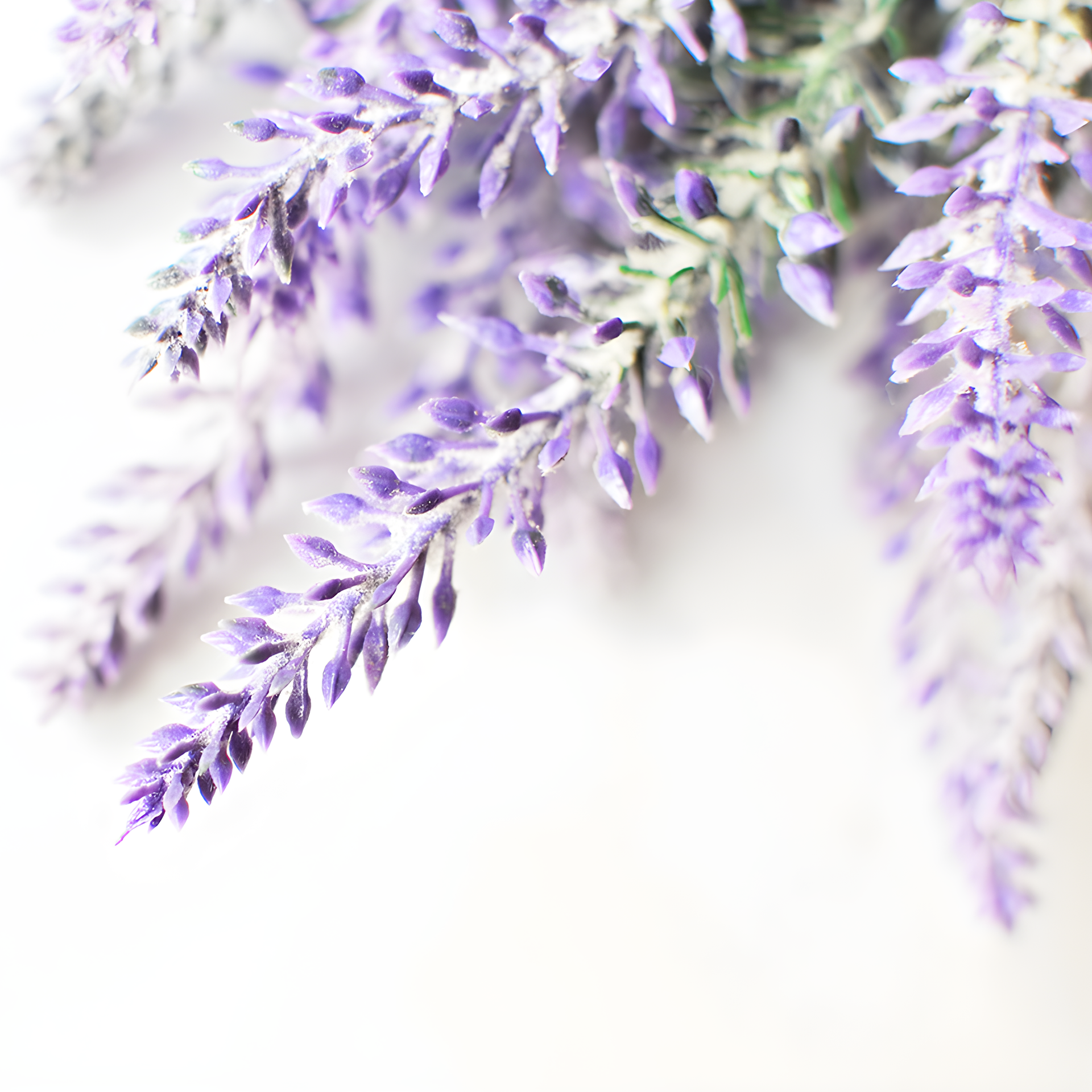 Picture of Creations Aromatiques perfumer