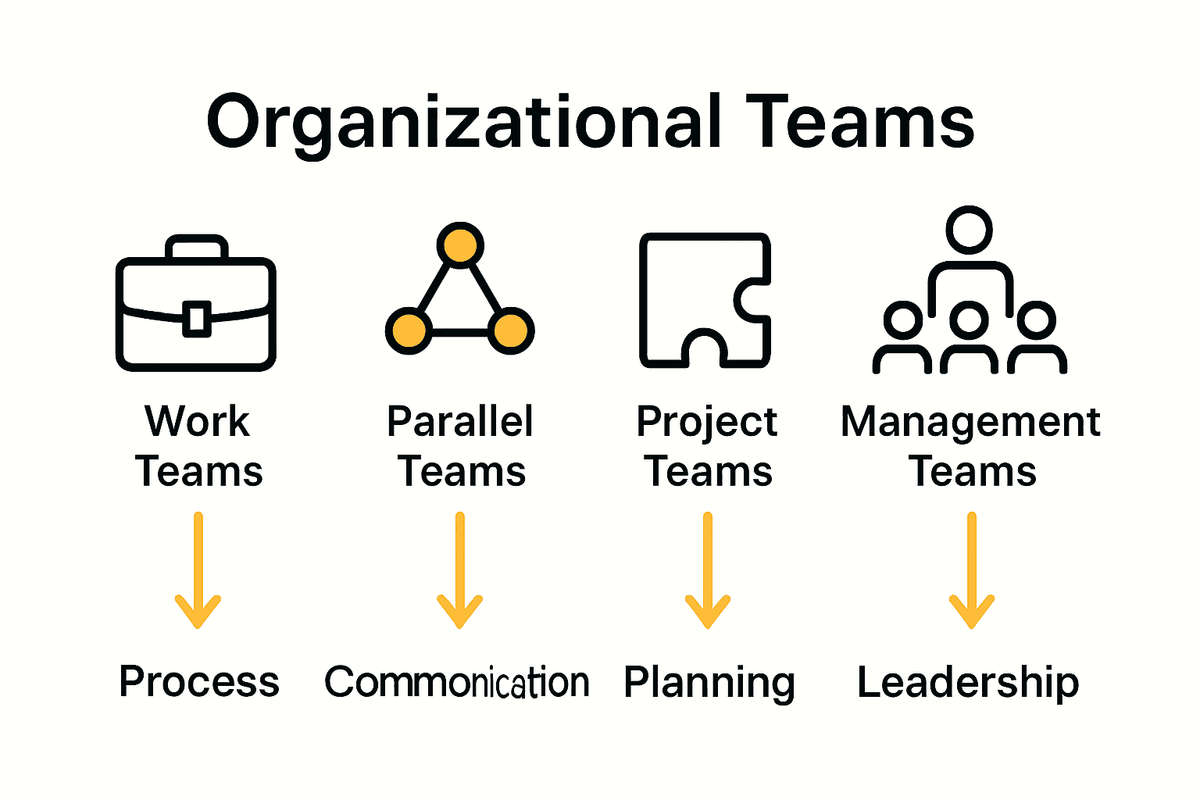 Infographic comparing the four types of team challenges: work, parallel, project, and management teams.