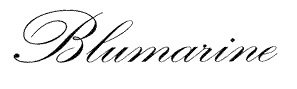 Picture of Blumarine brand