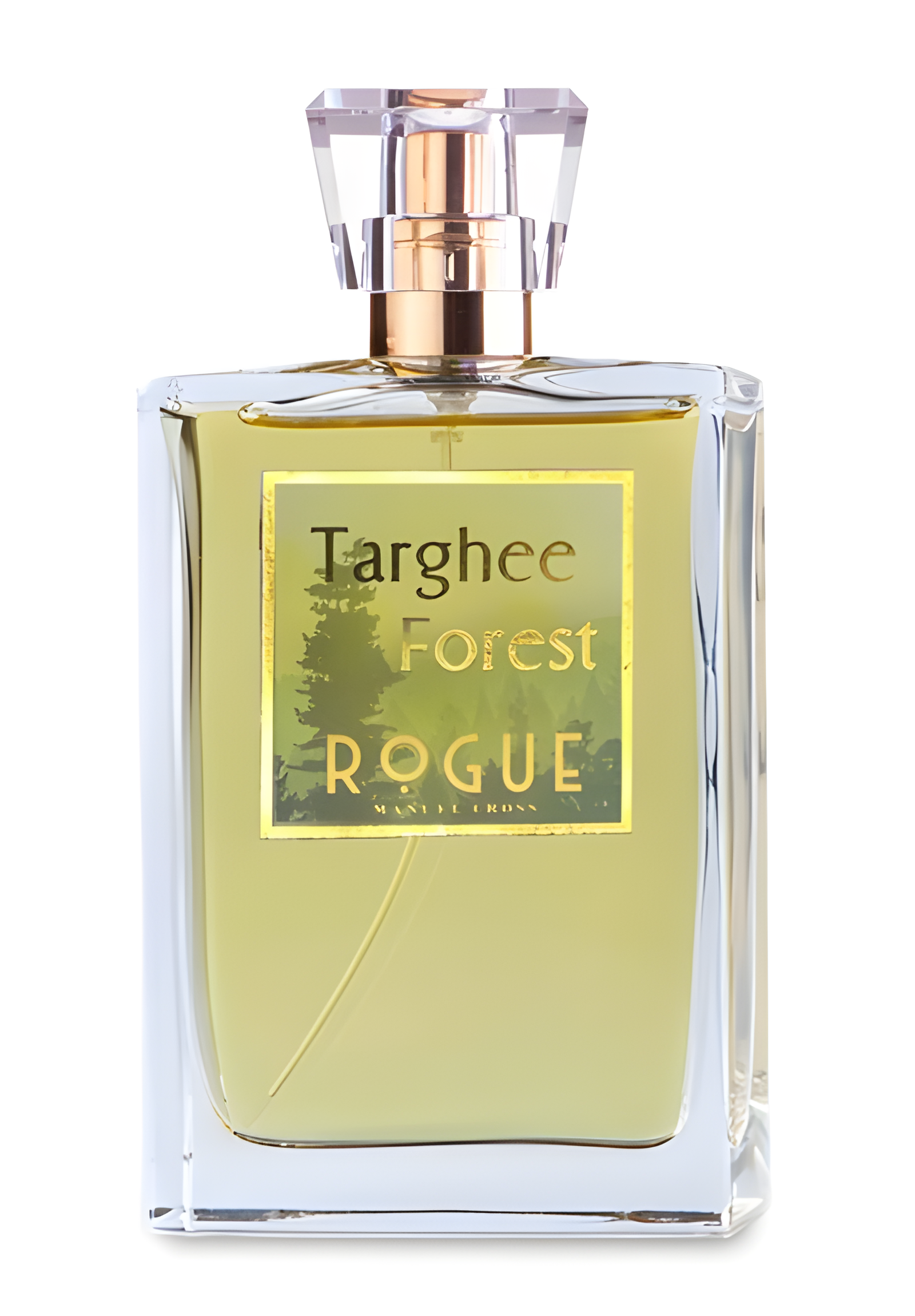 Targhee Forest by Rogue Perfumery perfume bottle