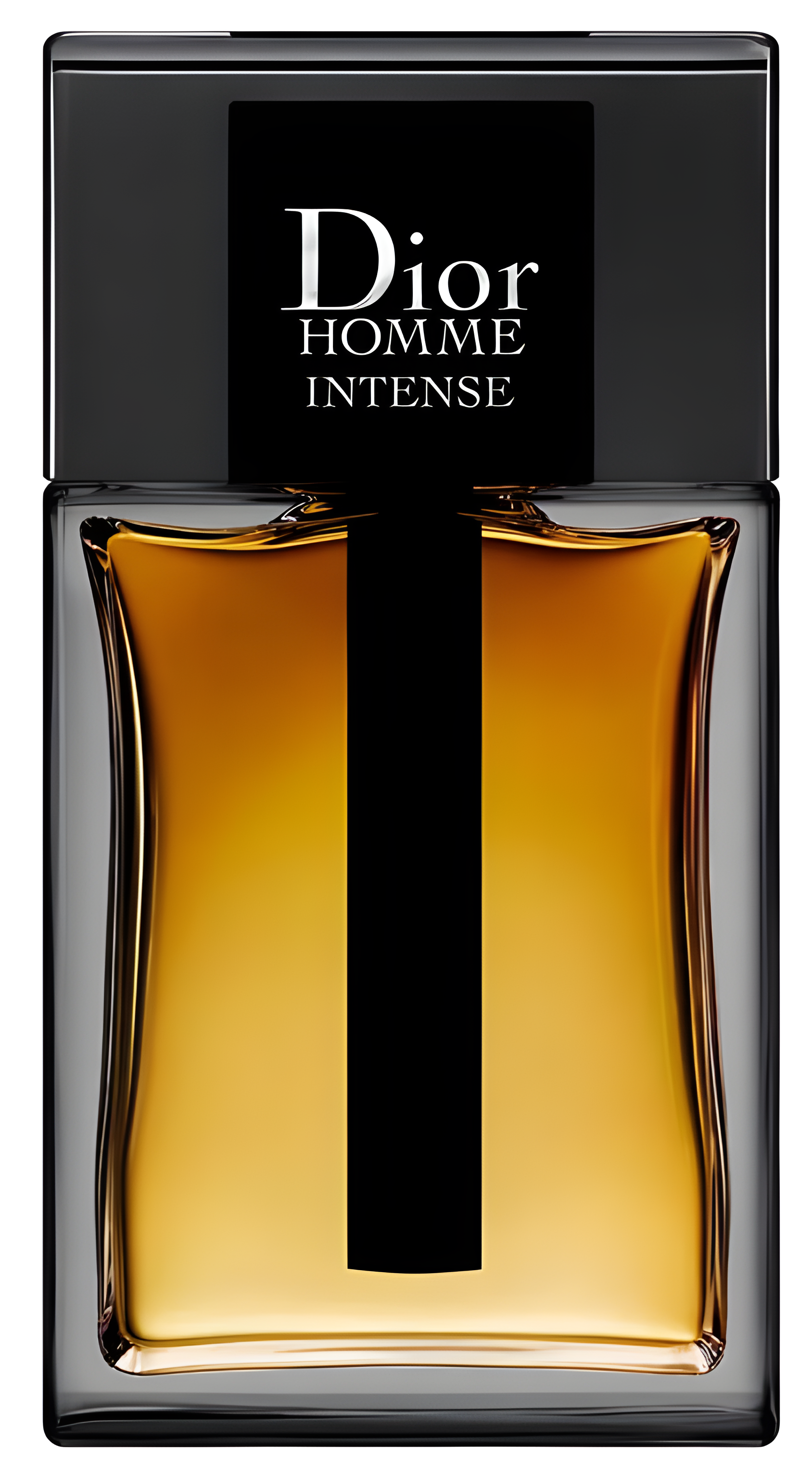 Dior Homme Intense 2011 by Dior perfume bottle