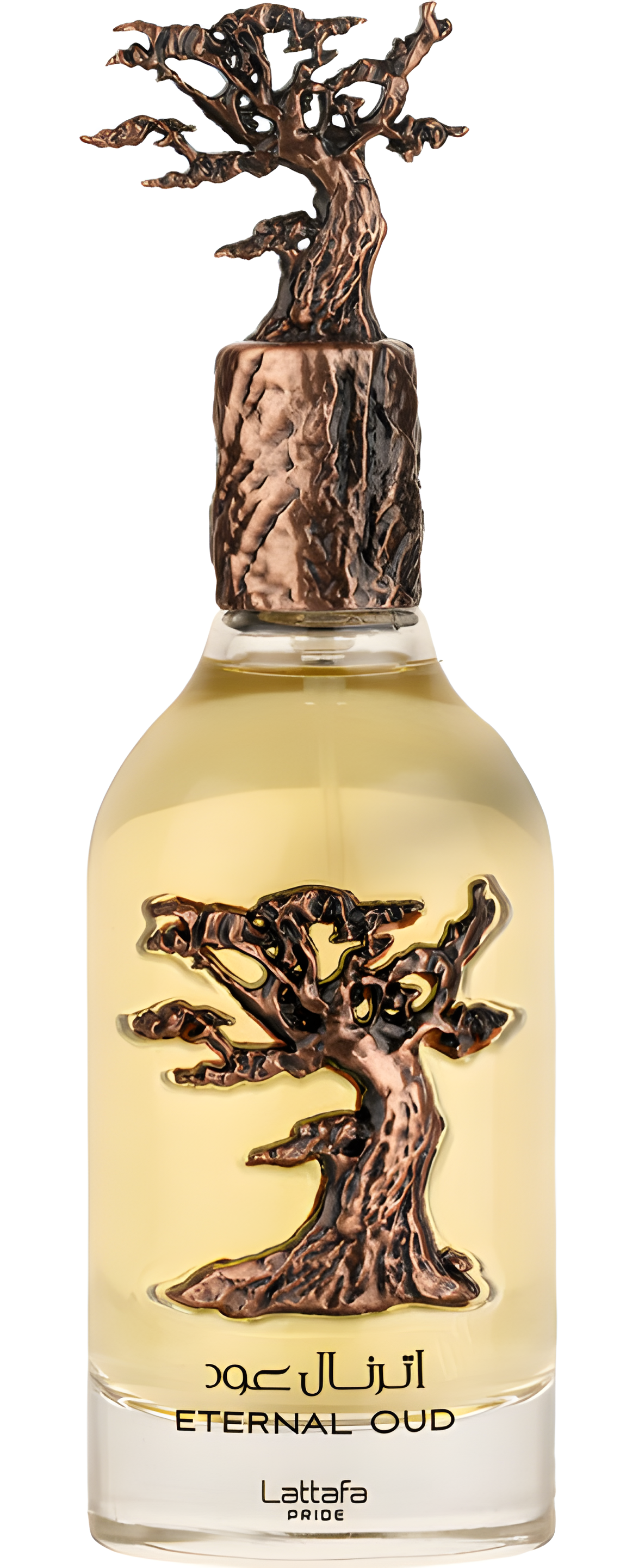 Eternal Oud by Lattafa Perfumes perfume bottle