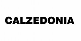 Picture of Calzedonia brand