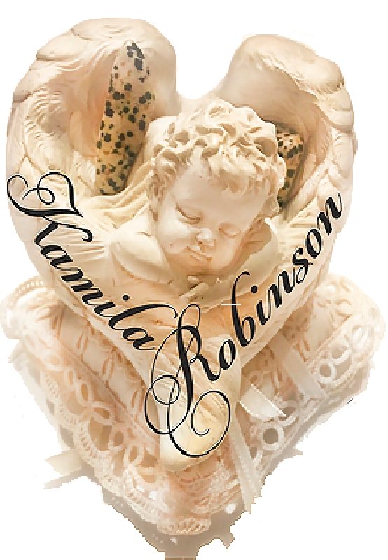 Picture of Kamila Robinson brand