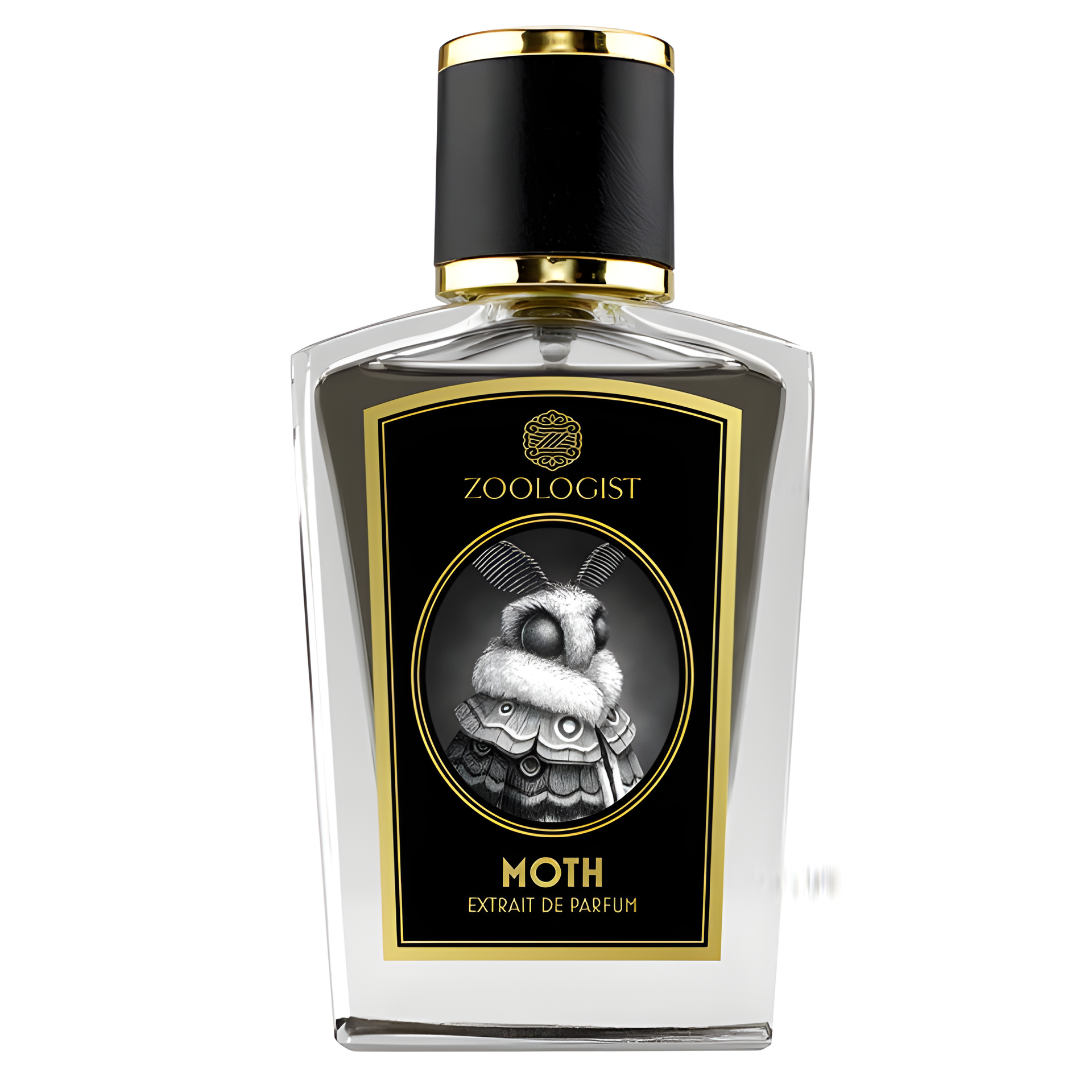Moth by Zoologist Perfumes perfume bottle
