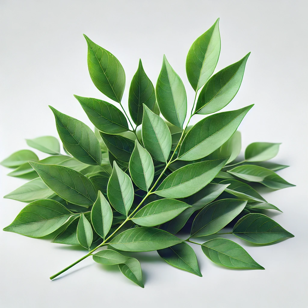 Picture of Curry Tree note