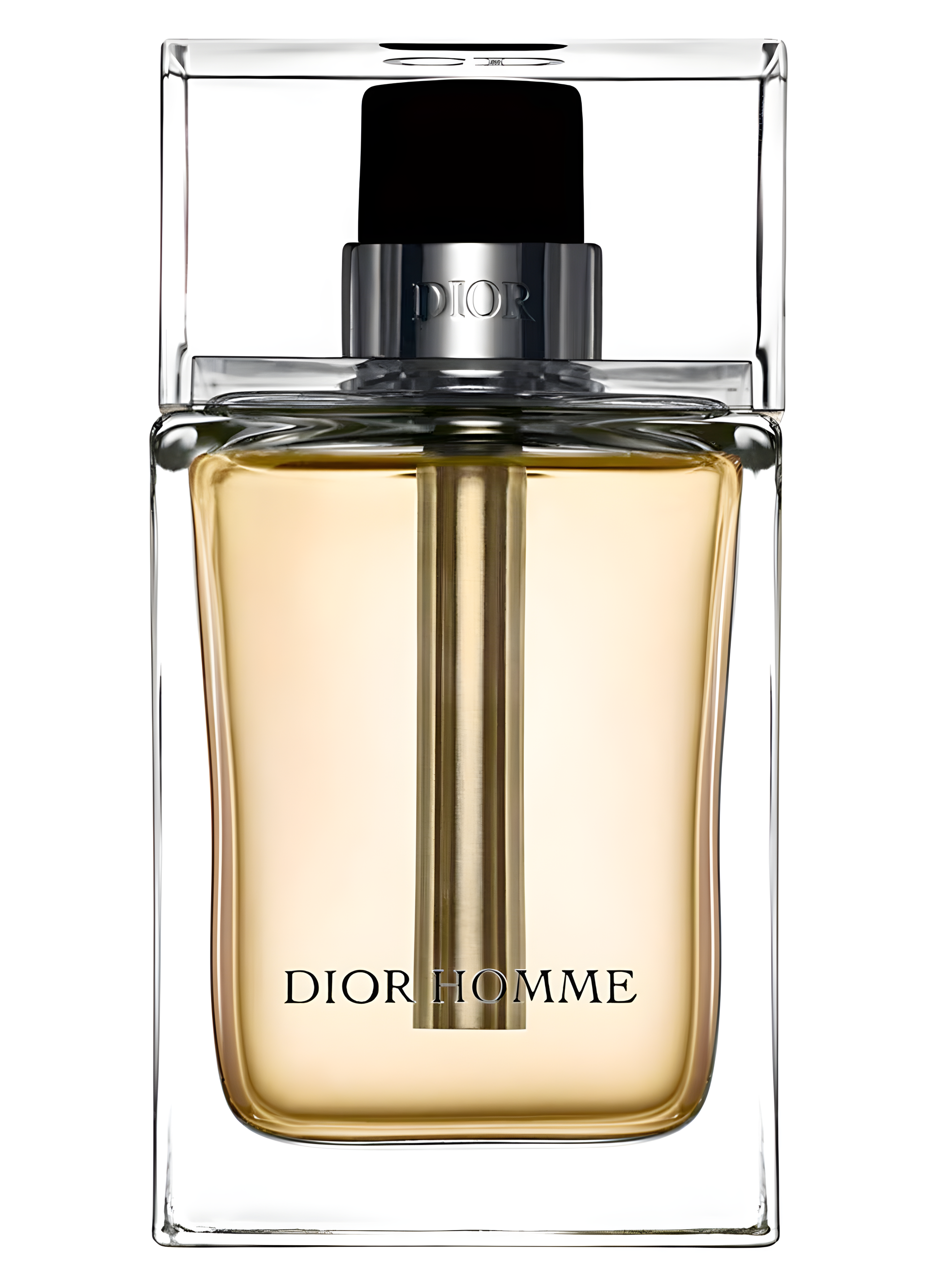 Dior Homme 2005 by Dior perfume bottle