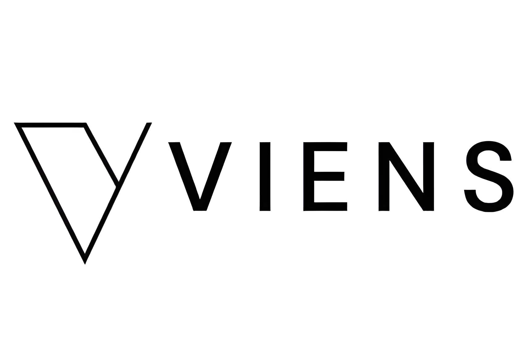 Picture of VIENS brand