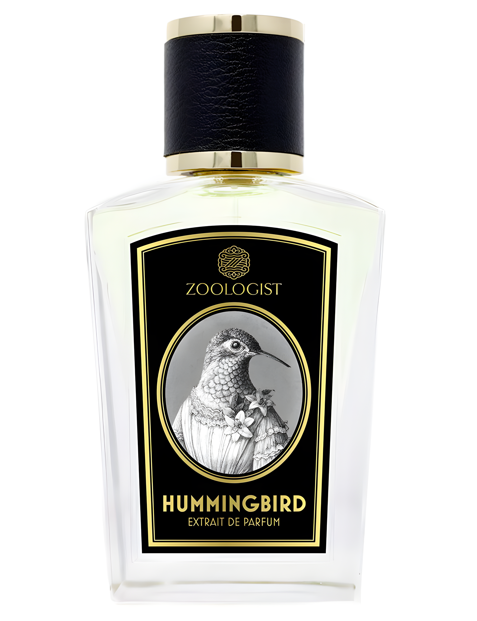 Hummingbird by Zoologist Perfumes perfume bottle