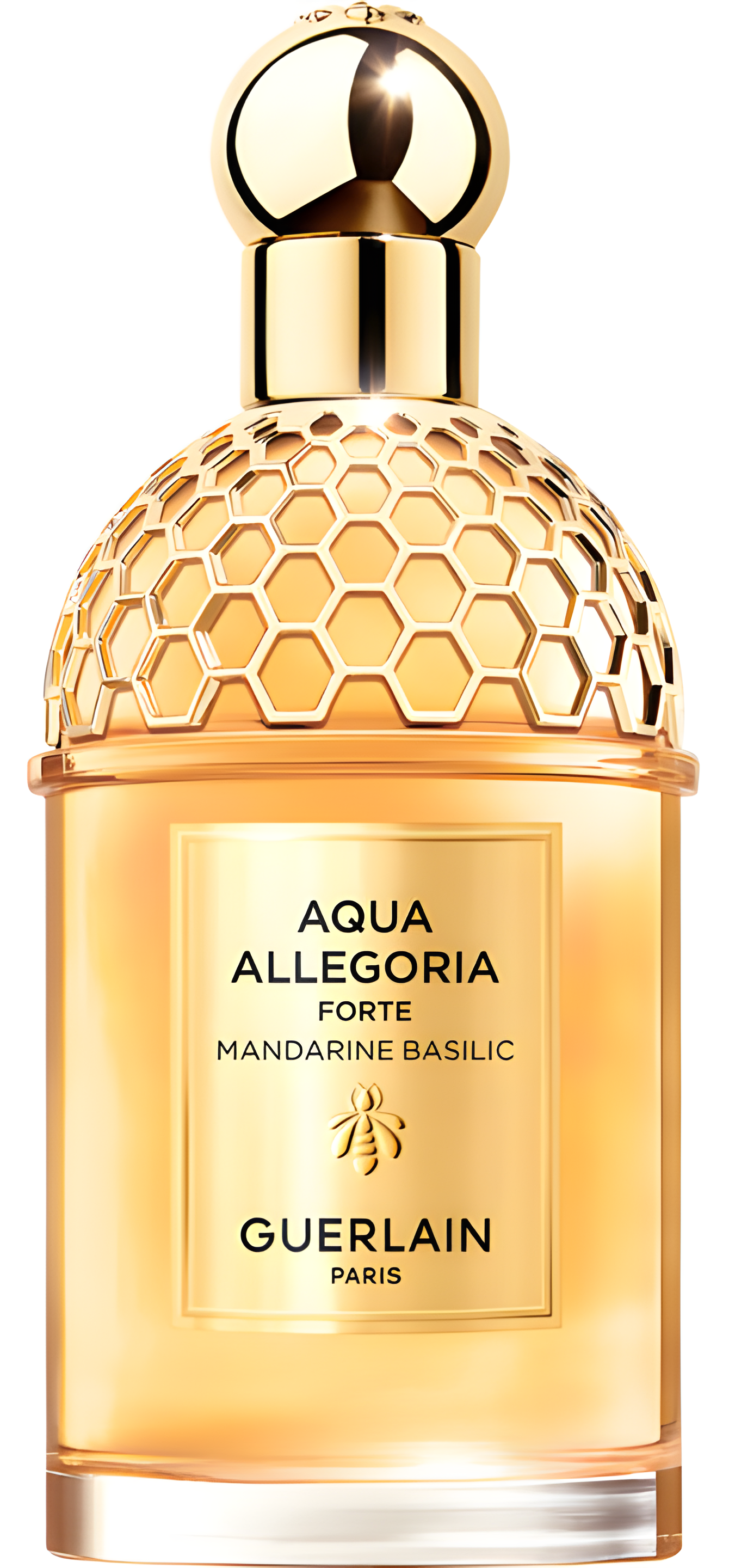 Aqua Allegoria Forte Mandarine Basilic by Guerlain perfume bottle