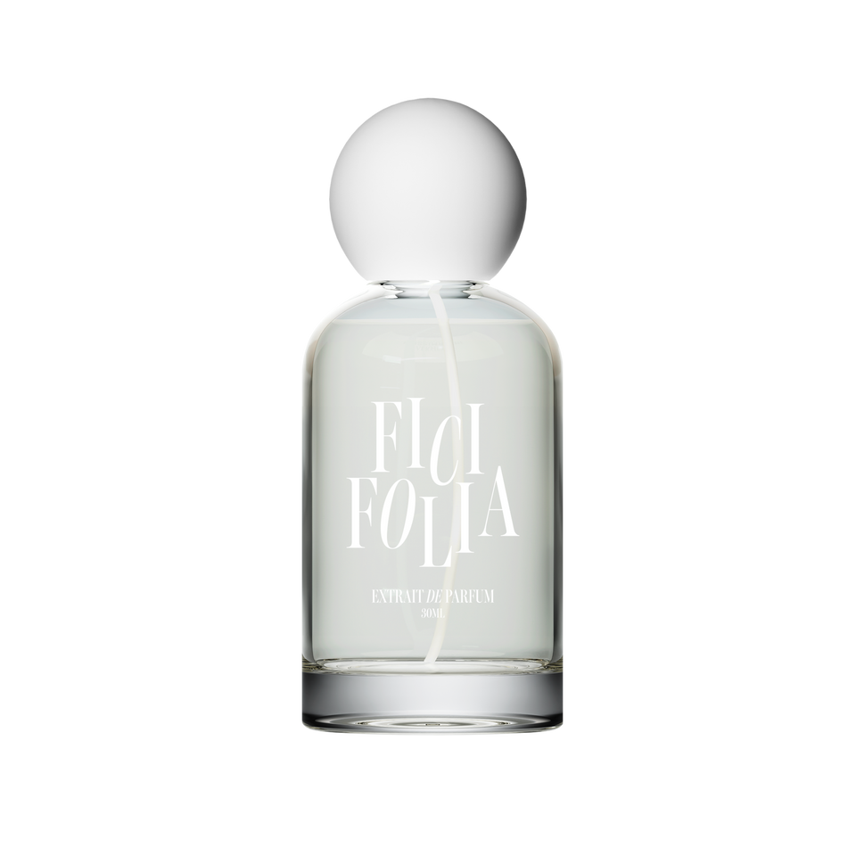 BISTRO BOY by Ficifolia perfume bottle